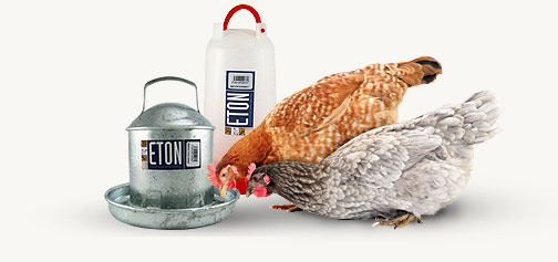 Poultry Drinkers | Eton drinkers