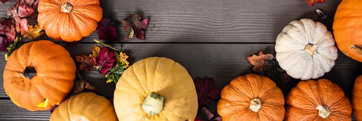 Fall Gardens: How to Harvest Your Pumpkins?