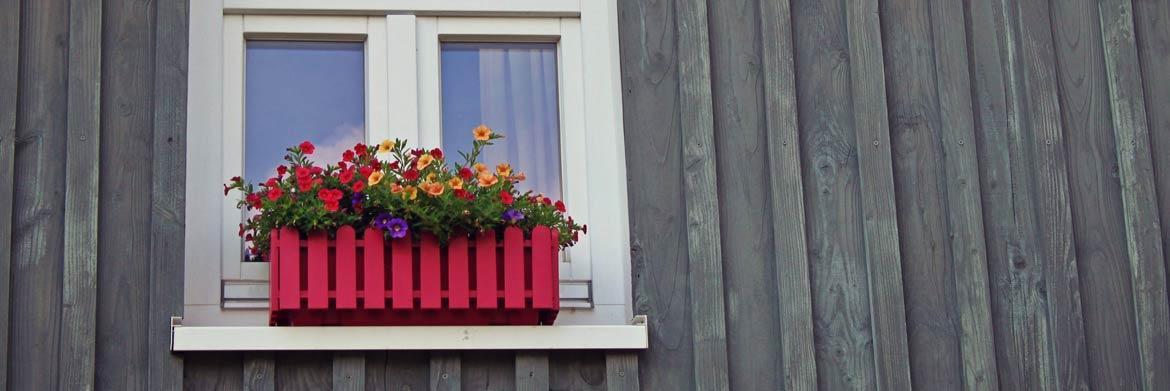 Ideal Plants for Hanging Window Boxes