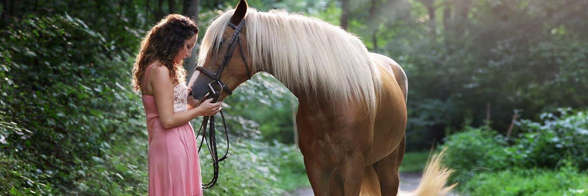 Ways to Create a Special Bond with Your Horse