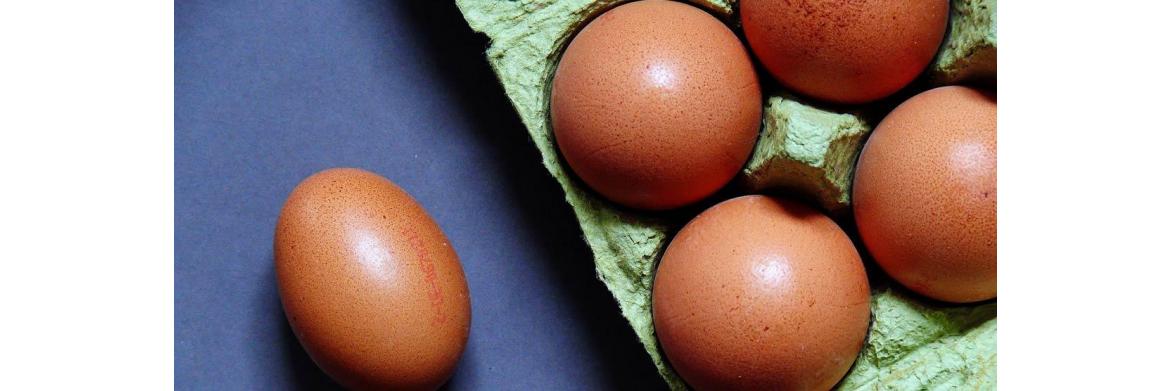 Are You Storing Your Fresh Laid Chicken Eggs The Right Way?