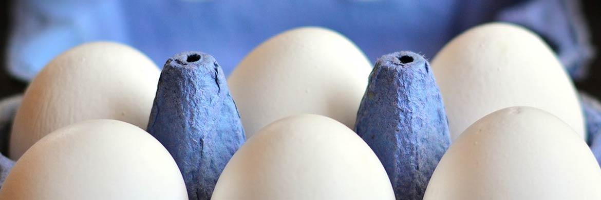 Reasons Why You Need To Invest In Quality Egg Boxes