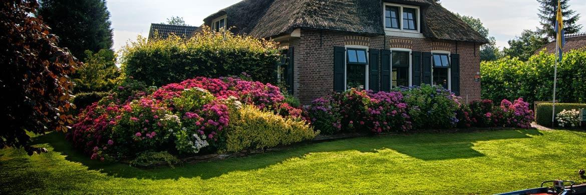 4 Crucial Tips to Help You Raise Your Own Beautiful Garden