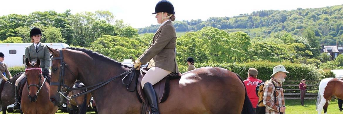 Horse Riding Gear for Beginners:  The 5 Essentials You Need