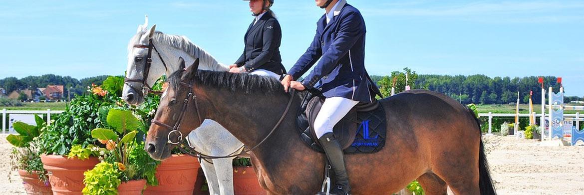 Horse Riding Lesson 101:  Knowing the Difference between Jodhpurs and Breeches