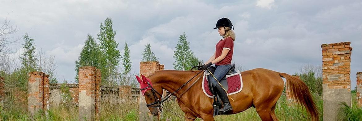 A Beginner’s Guide to Equestrian Accessories: What to Wear for a Safe Horse Riding Experience 