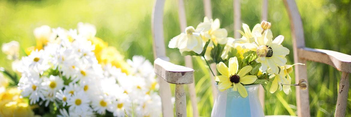 Summer Ideas to Brighten Up Your Garden
