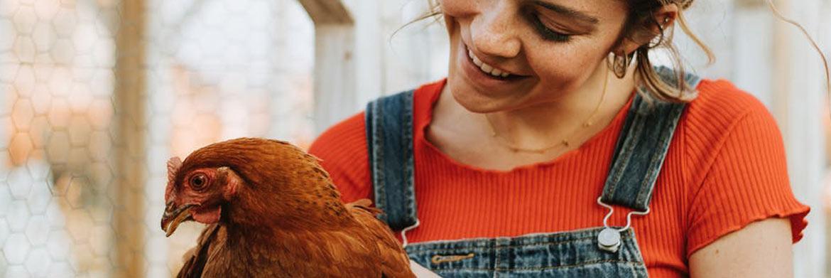 How to Keep Your Chicken Coop Clean – A Guide to Chicken Coop Sanitation