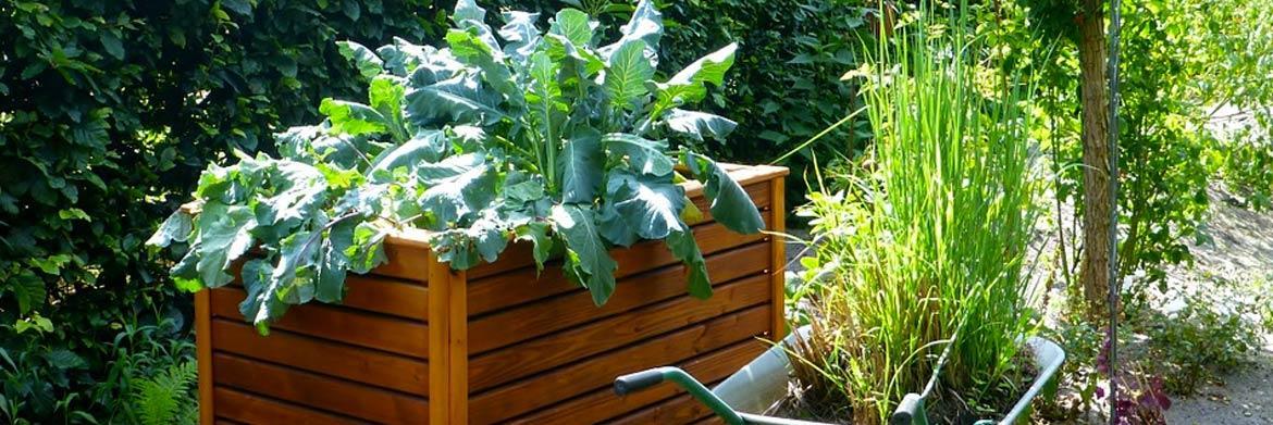 Raised Gardening Tips for a Beautiful Garden
