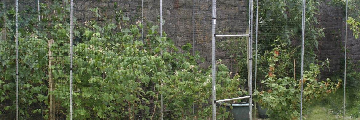 Fruit Cage Netting and Its Uses