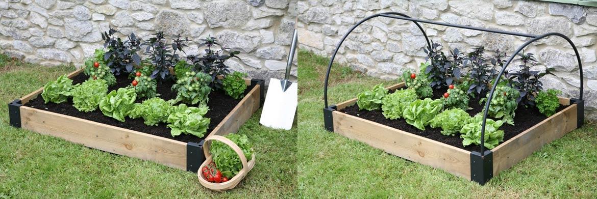 Grow Your Own Raised Bed Vegetable Garden