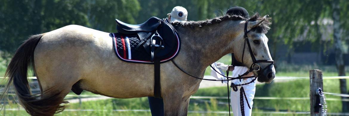 The Importance Of Having The Right Saddle Pad 