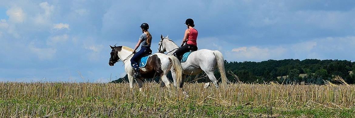 Horse Riding Tips You Should Know About