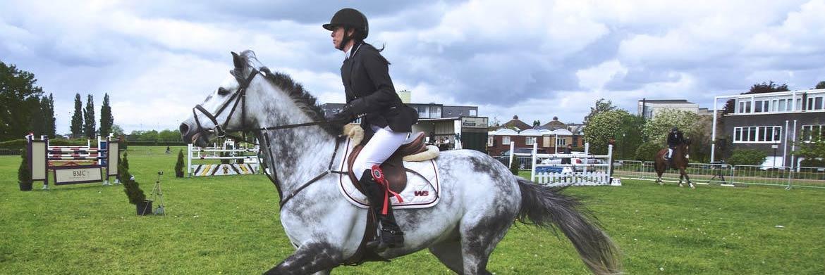 Debunking the 5 Most Common Horse Riding Myths for Good!