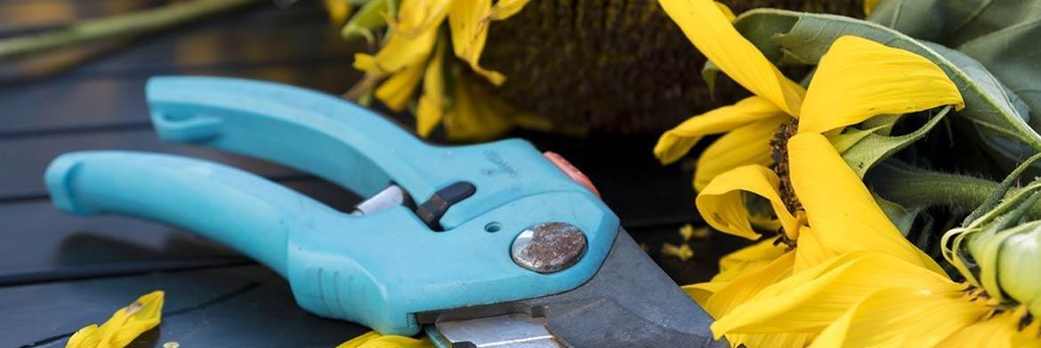 Gardening Made Easy: A Beginner’s Guide to The 10 Essentials Tools Needed to Start a Garden Today