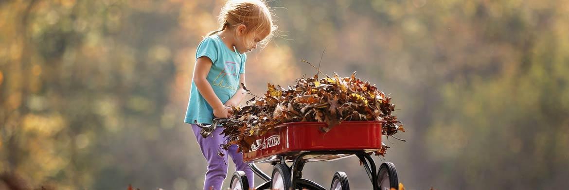 Gardening 101: Are You Ready  for the Fall?