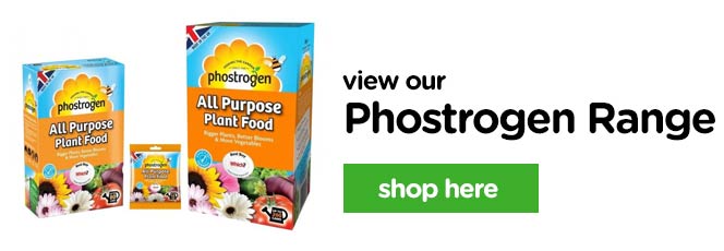 shop the phostrogen range