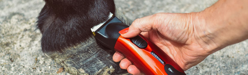 Liveryman Classic trimmer in use