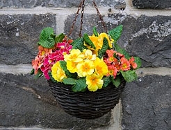 Category Basket & Patio Plants image