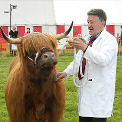 Category Grooming & Showing image