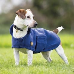 Category Dog Coats image