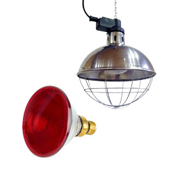 Heat Lamps & Bulbs