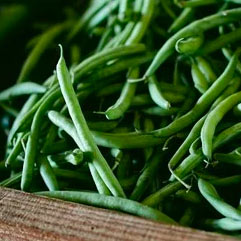 Category Pea & Bean Seeds image