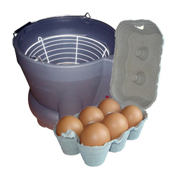 Egg Washing & Packaging