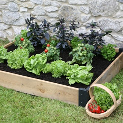 Raised Bed Growing Systems