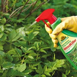 Category Weed Killers image