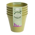 Haxnicks 5" Bamboo Pots - Sage Green (Pack of 5)