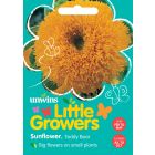 Little Growers Sunflower Teddy Bear Seeds