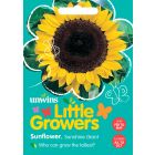 Little Growers Sunflower Sunshine Giant Seeds
