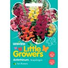 Little Growers Antirrhinum Snapdragon  Seeds