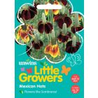 Little Growers Mexican Hats Seeds