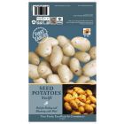 De Ree Swift Seed Potatoes - First Earlies - 8 pcs