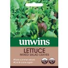 Lettuce (Leaves) Mixed Salad Leaves Seeds