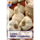 De Ree White Casablanca Garlic - Pack of 3