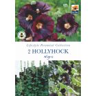 Hollyhock Nigra Perennial Roots - Lifestyle Perennial Collection
