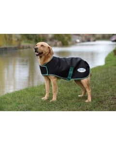 Weatherbeeta Green-Tec 900D Dog Coat Medium 