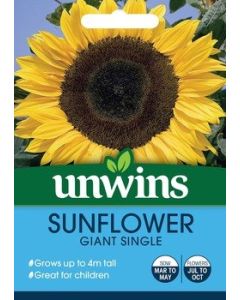 Suflower Giant (Single Flower)