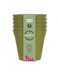 Haxnicks 3" Bamboo Pots - Sage Green (Pack of 5)