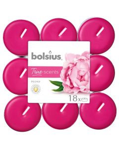 Bolsius 4 Hour Tealights - Peony - Pack of 18