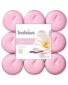 Bolsius 4 Hour Tealights - Magnolia - Pack of 18