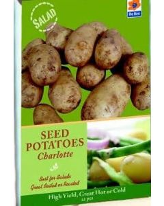 De Ree Charlotte Salad Seed Potatoes - 10 pcs