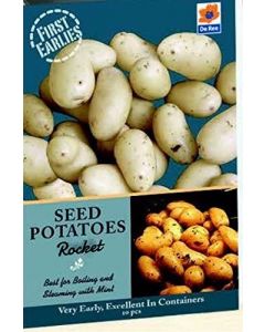 Jamieson Brothers Premium Scottish King Edward Seed Potatoes - Main Crop - 2kg