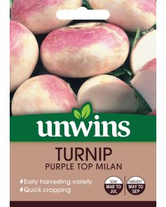Turnip Purple Top Milan Seeds