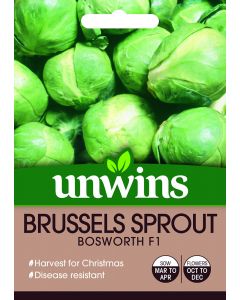 Brussels Sprout Bosworth F1 Seeds