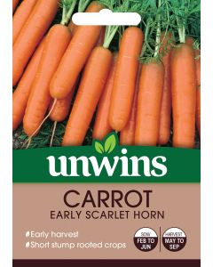 Carrot Early Scarlet Horn Seeds