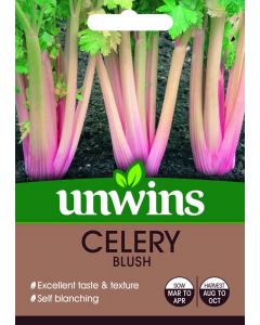Celery Blush Seeds